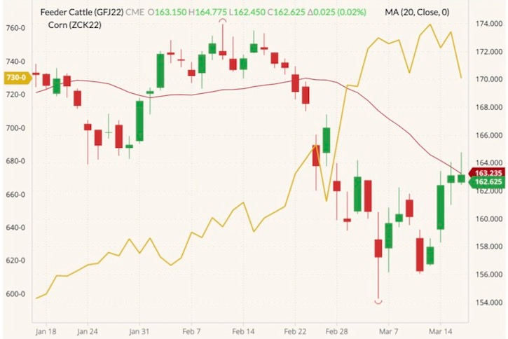 cme april feeder cattle