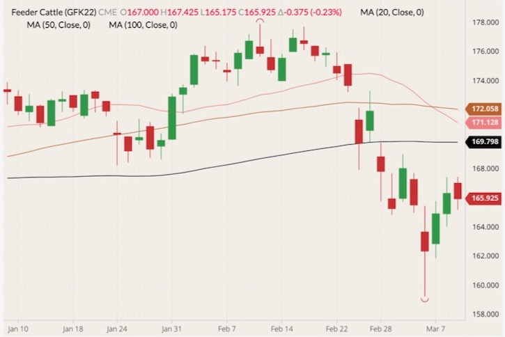 cme may feeder cattle