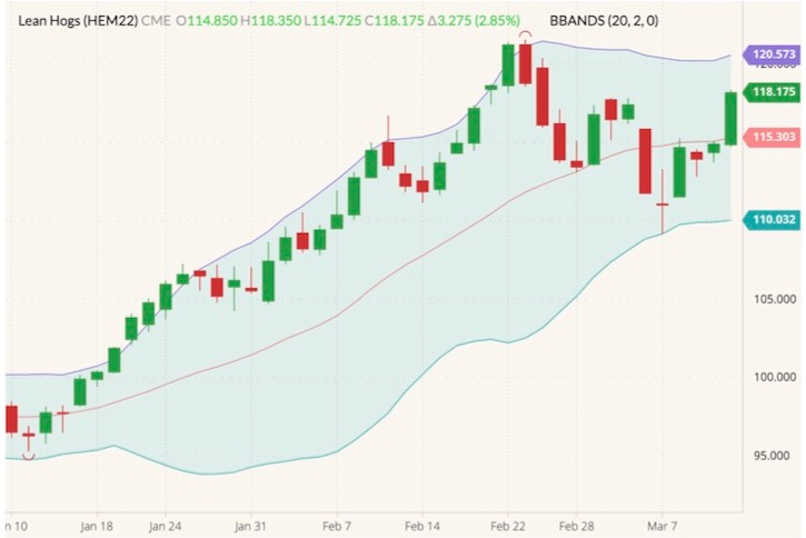 cme june lean hogs