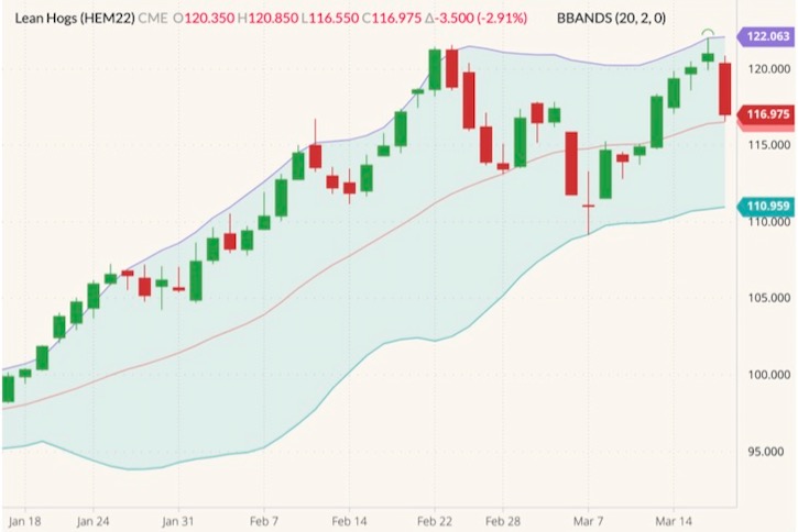 cme june lean hogs