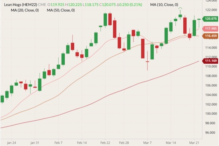 cme june lean hogs