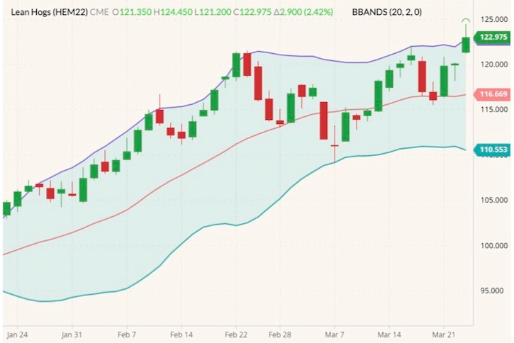 cme june lean hogs