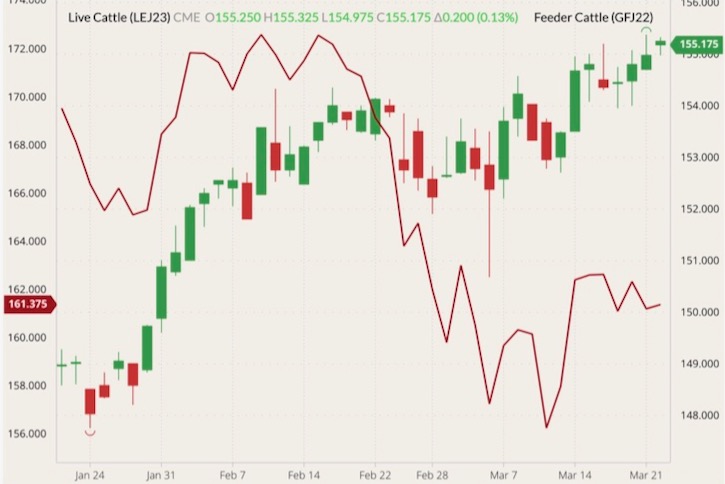 cme april 2023 live cattle