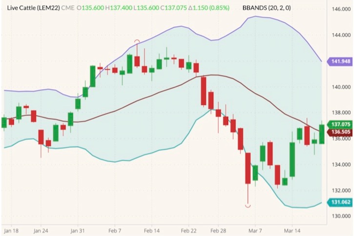 cme june live cattle