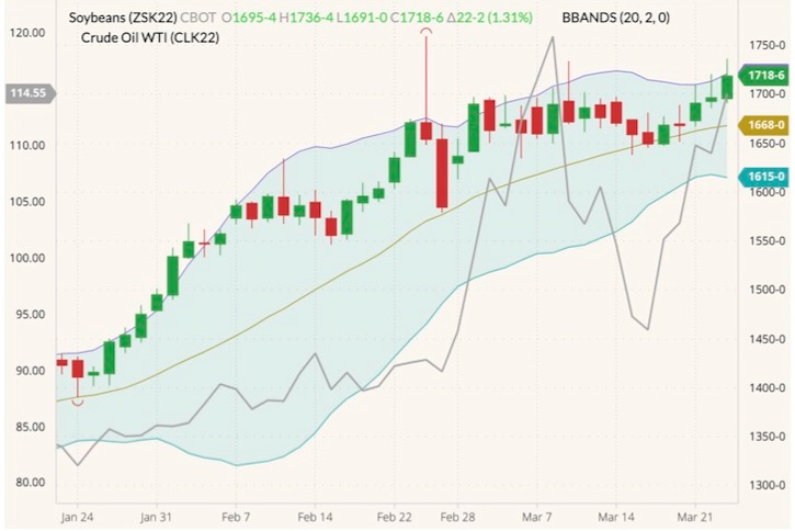 cbot may soybeans