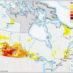 drought monitor february 2022