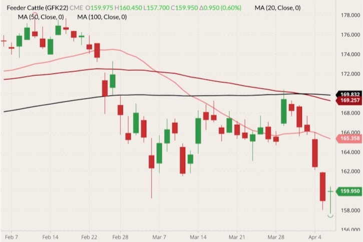 cme may feeder cattle