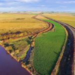 argentina fields