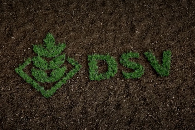 dsv logo