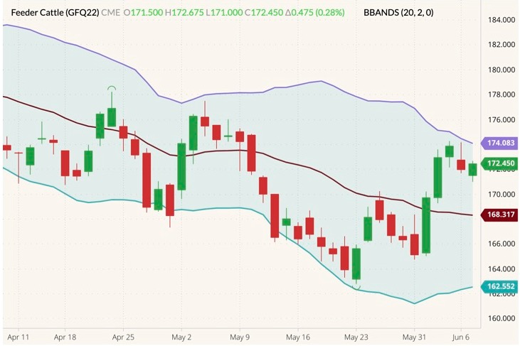 cme august feeder cattle