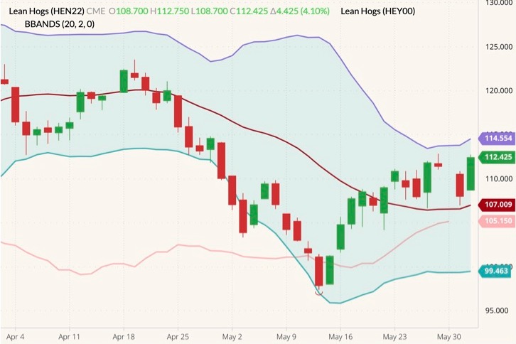cme july lean hogs