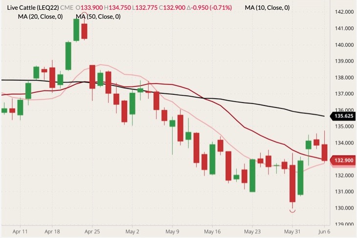 cme august live cattle