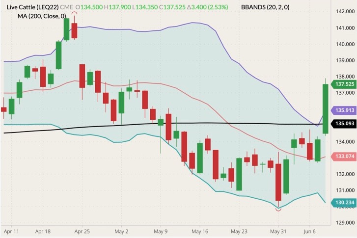 cme august live cattle