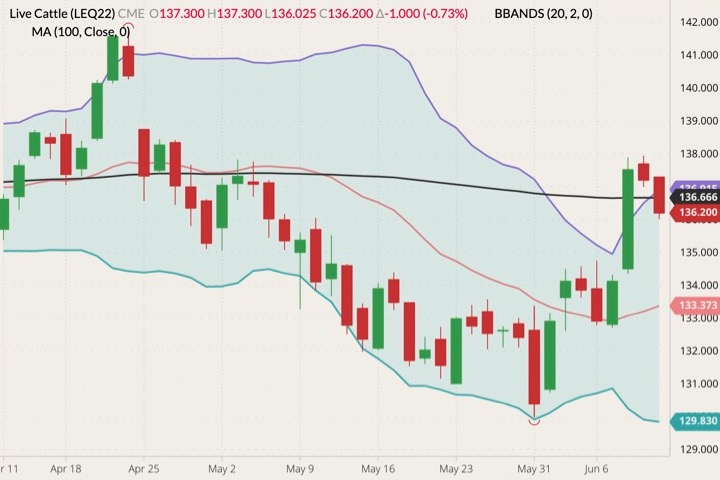cme august live cattle