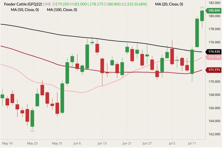 cme august feeder cattle