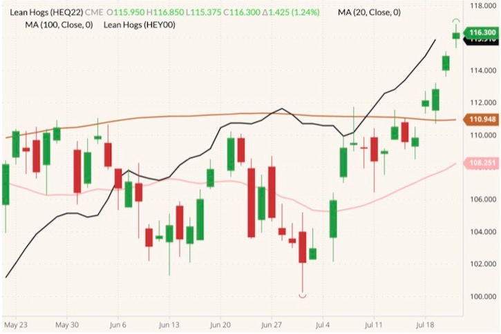 cme august lean hogs