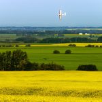 Crop duster plane flying over canola or mustard fields.