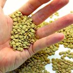 handful of lentils