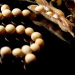 Soybeans forming a dollar sign symbol