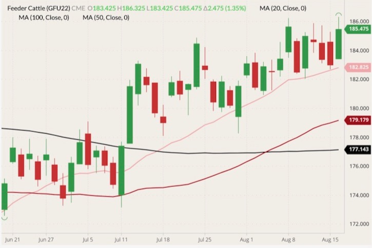 cme september feeder cattle