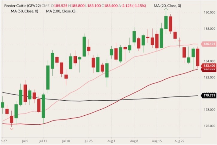 cme october feeder cattle