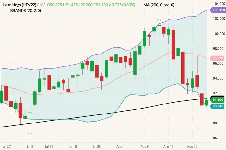 cme october live cattle