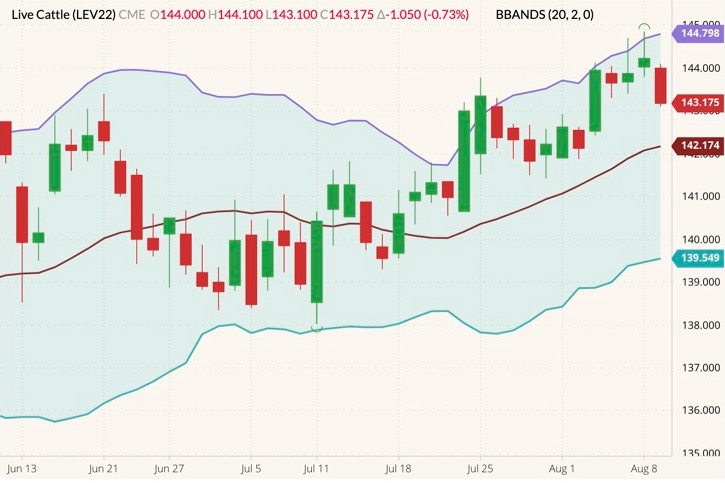 cme october live cattle