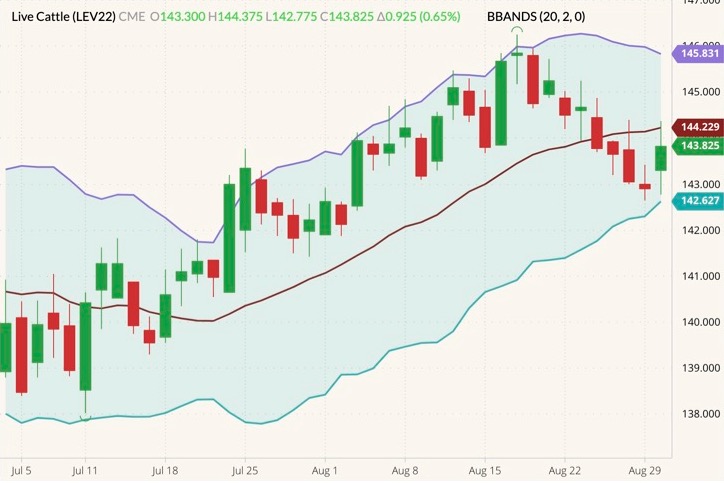 cme october live cattle