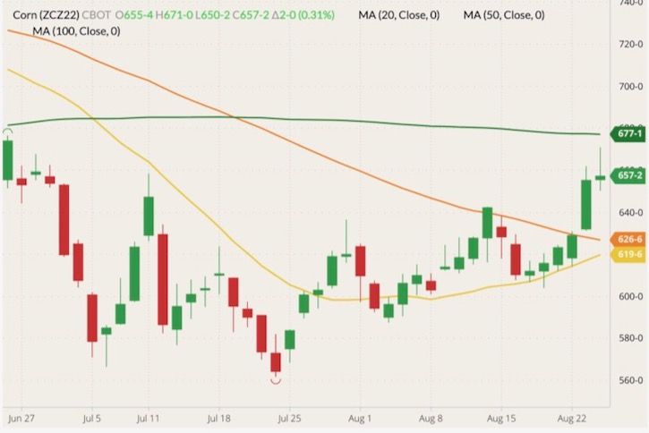 cbot december corn