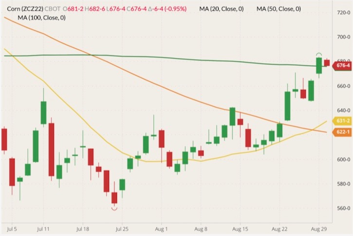 cbot december corn