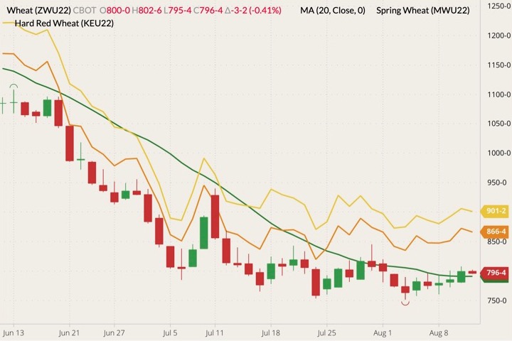 cbot september wheat