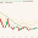 cbot december wheat