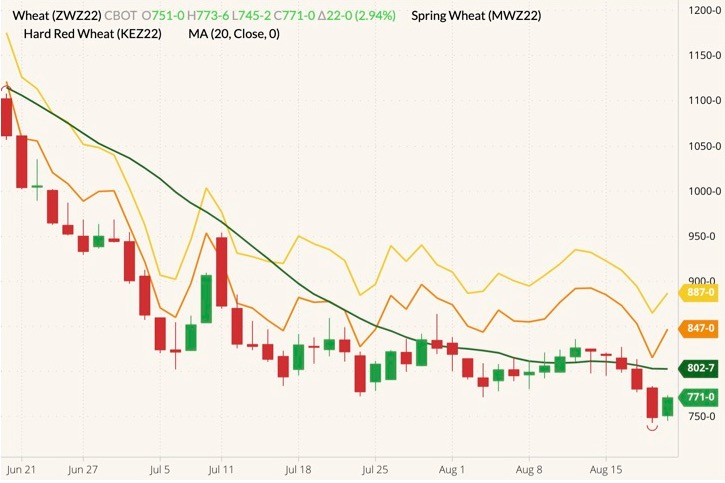 cbot december wheat