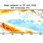 SST anomalies