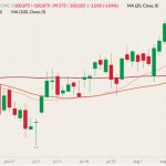 cme october lean hogs