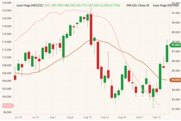 cme december lean hogs
