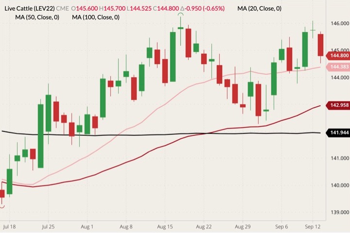 cme october live cattle