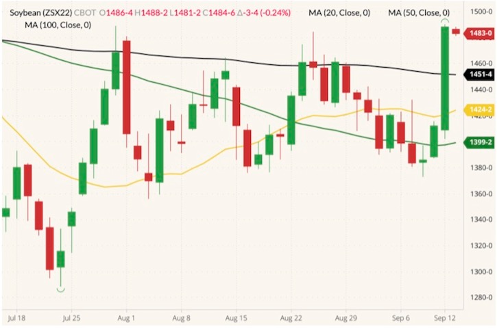 cbot november soybeans