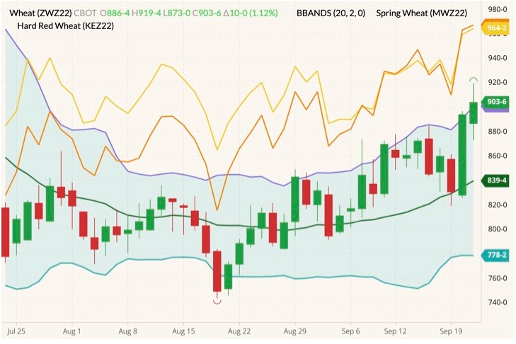 cbot december wheat