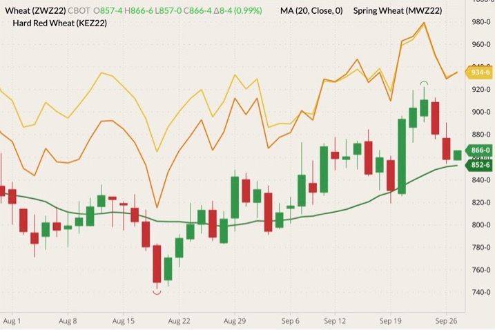 cbot december wheat