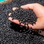 black beans