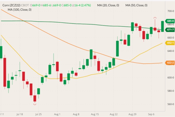 cbot december corn