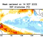 enso sept 14