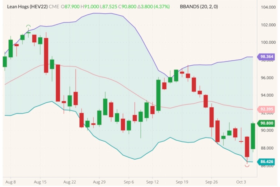 cme october lean hogs