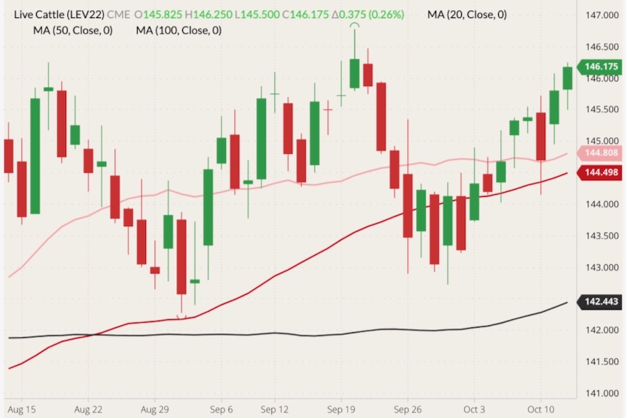 cme october live cattle