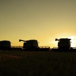 Three combines silhouetted against a sunset.