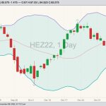 cme december lean hogs