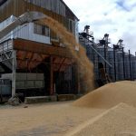 ukraine grain terminal