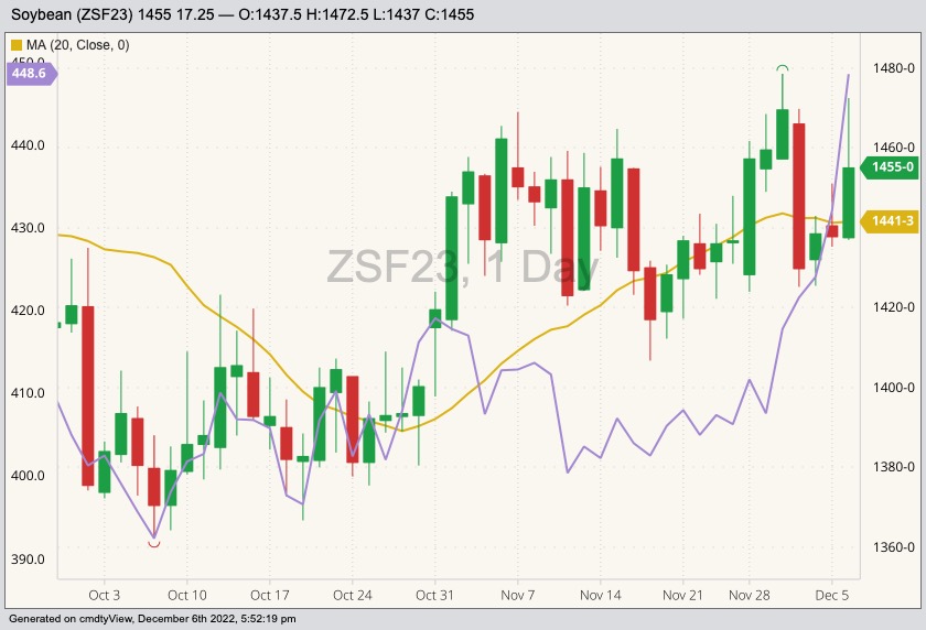cbot january soybeans