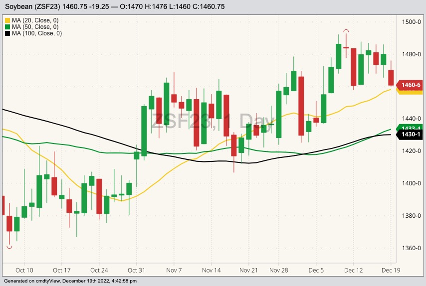 cbot january soybeans